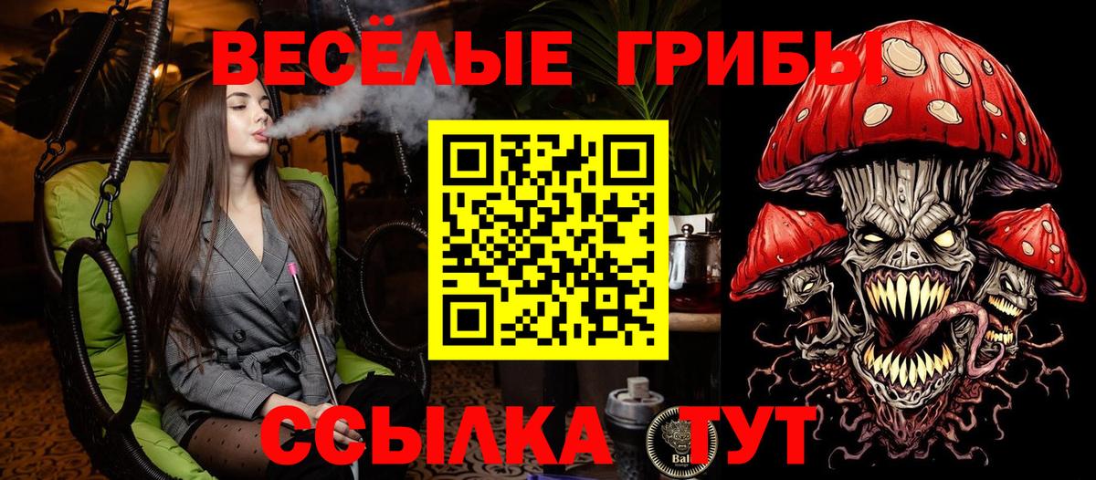 Сургут  Галлюциногенные грибы Magic Shrooms  Вход с VPN 