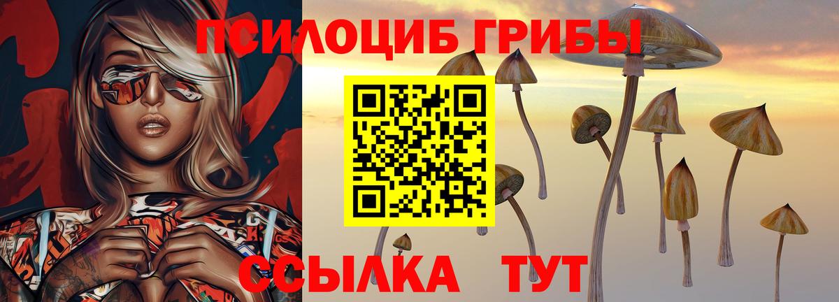 Псилоцибиновые грибы мицелий Сургут